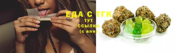 индика Баксан