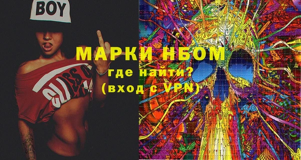 индика Баксан