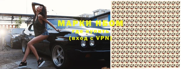 индика Баксан