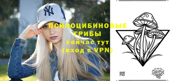 винт Балахна