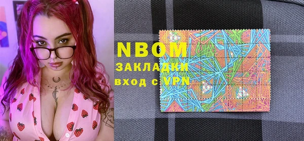 индика Баксан
