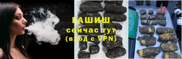 индика Баксан